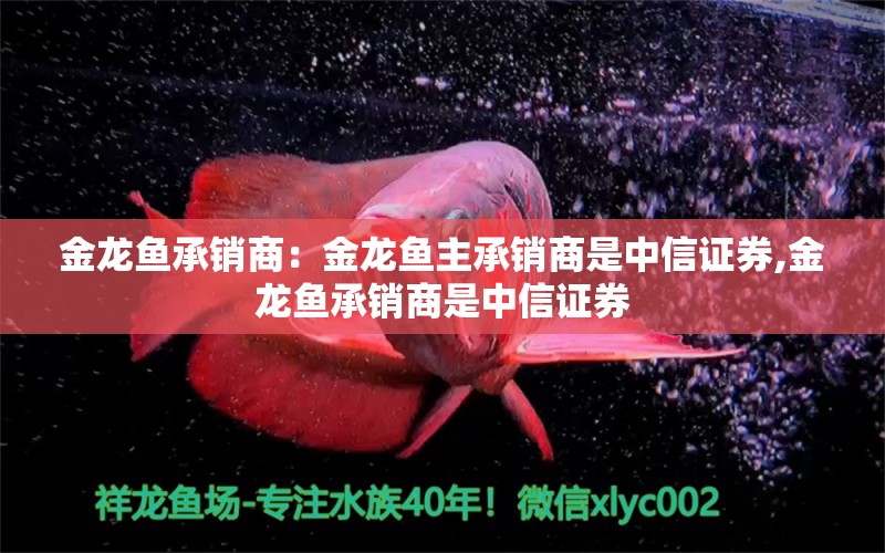 金龙鱼承销商：金龙鱼主承销商是中信证券,金龙鱼承销商是中信证券