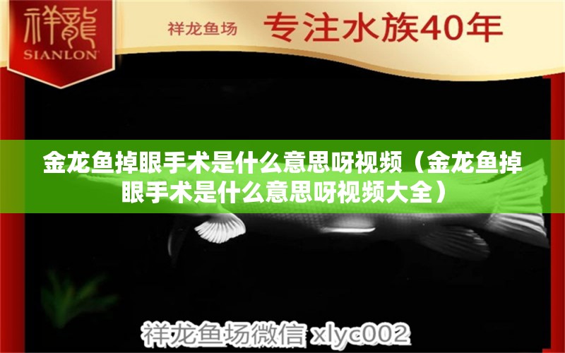 金龙鱼掉眼手术是什么意思呀视频（金龙鱼掉眼手术是什么意思呀视频大全）