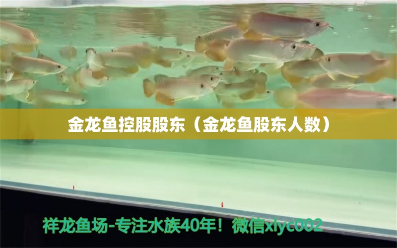 金龙鱼控股股东（金龙鱼股东人数） 斯维尼关刀鱼