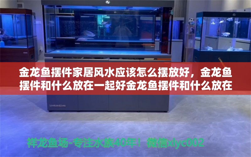 金龙鱼摆件家居风水应该怎么摆放好，金龙鱼摆件和什么放在一起好金龙鱼摆件和什么放在一起好 鱼缸风水 第1张