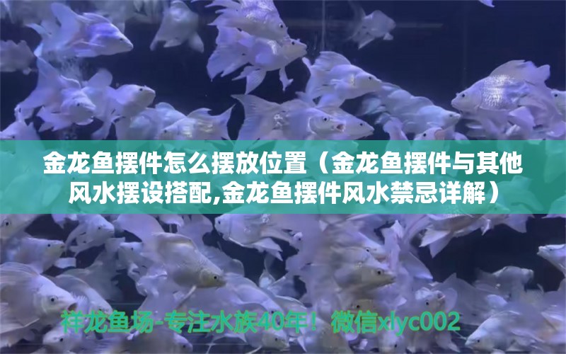 金龙鱼摆件怎么摆放位置（金龙鱼摆件与其他风水摆设搭配,金龙鱼摆件风水禁忌详解）