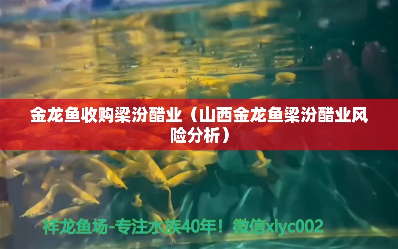 金龙鱼收购梁汾醋业（山西金龙鱼梁汾醋业风险分析）