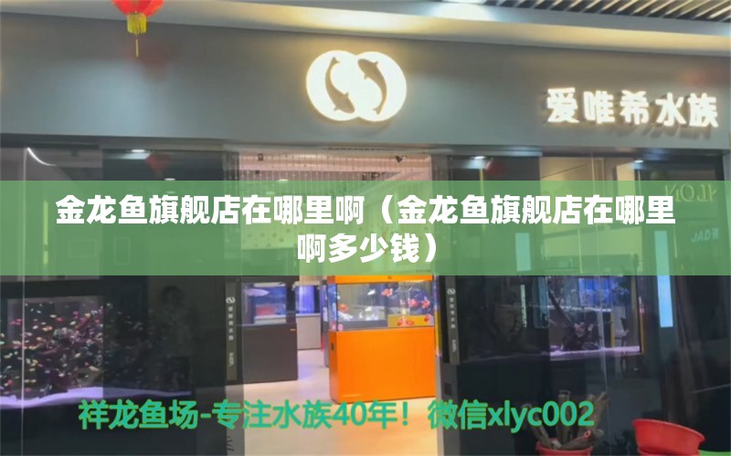 金龙鱼旗舰店在哪里啊（金龙鱼旗舰店在哪里啊多少钱）