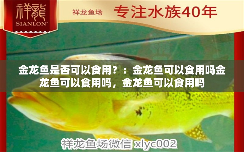 金龙鱼是否可以食用？：金龙鱼可以食用吗金龙鱼可以食用吗，金龙鱼可以食用吗