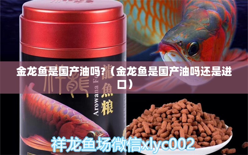 金龙鱼是国产油吗?（金龙鱼是国产油吗还是进口） 龙鱼百科