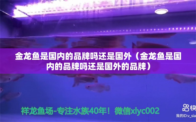 金龙鱼是国内的品牌吗还是国外（金龙鱼是国内的品牌吗还是国外的品牌）