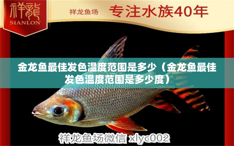 金龙鱼最佳发色温度范围是多少（金龙鱼最佳发色温度范围是多少度）