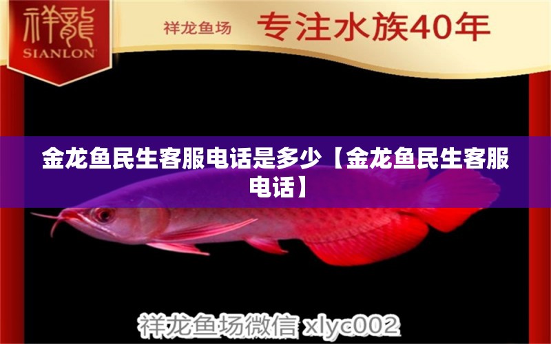 金龙鱼民生客服电话是多少【金龙鱼民生客服电话】 龙鱼百科 第6张