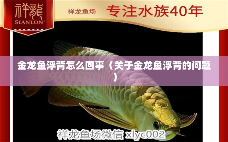 金龙鱼浮背怎么回事（关于金龙鱼浮背的问题） 水族问答 第2张