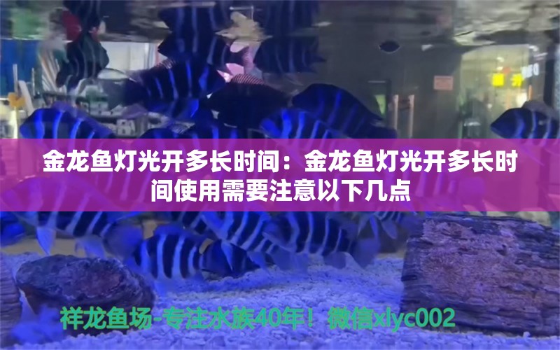 金龙鱼灯光开多长时间：金龙鱼灯光开多长时间使用需要注意以下几点