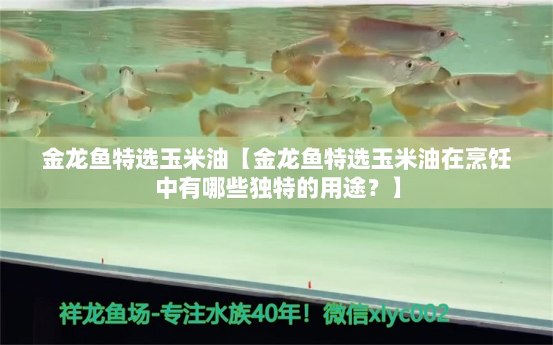 金龙鱼特选玉米油【金龙鱼特选玉米油在烹饪中有哪些独特的用途？】 水族问答 第1张