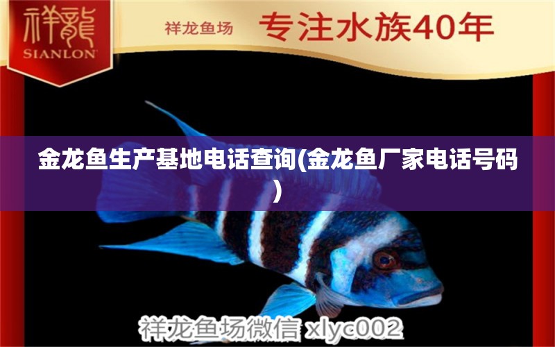 金龙鱼生产基地电话查询(金龙鱼厂家电话号码) 水族维护服务（上门）