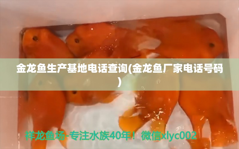 金龙鱼生产基地电话查询(金龙鱼厂家电话号码) 水族维护服务（上门）