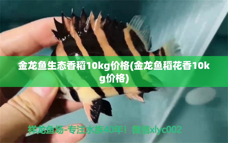 金龙鱼生态香稻10kg价格(金龙鱼稻花香10kg价格) 星点金龙鱼