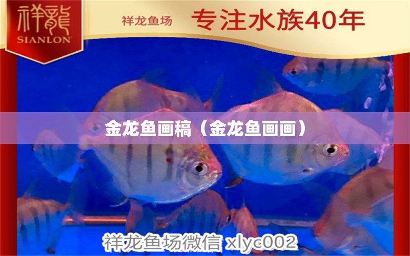 金龙鱼画稿（金龙鱼画画） 祥龙水族医院