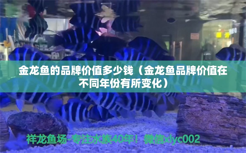 金龙鱼的品牌价值多少钱（金龙鱼品牌价值在不同年份有所变化）