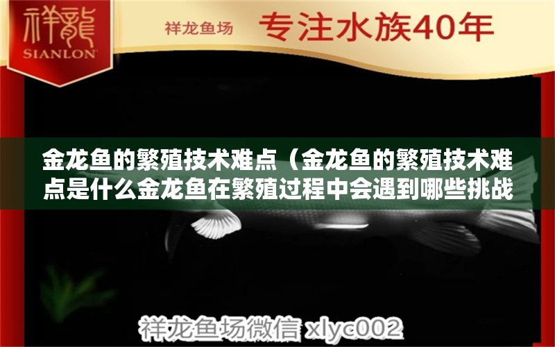 金龙鱼的繁殖技术难点（金龙鱼的繁殖技术难点是什么金龙鱼在繁殖过程中会遇到哪些挑战） 水族问答 第2张