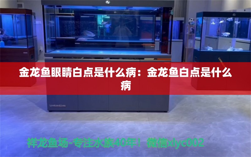 金龙鱼眼睛白点是什么病：金龙鱼白点是什么病