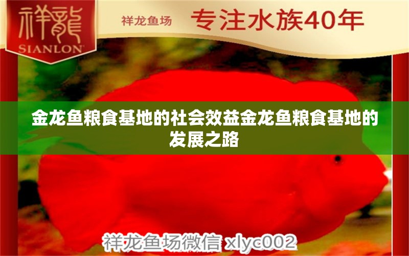 金龙鱼粮食基地的社会效益金龙鱼粮食基地的发展之路 金龙鱼粮 第1张