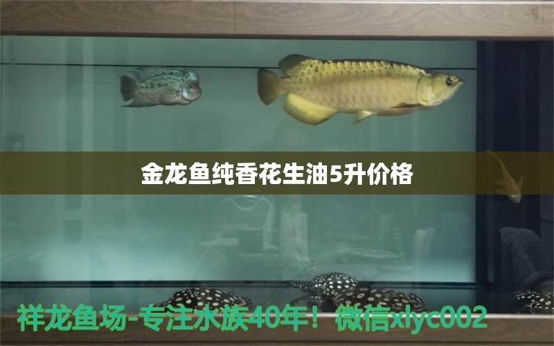 金龙鱼纯香花生油5升价格 水族问答 第1张