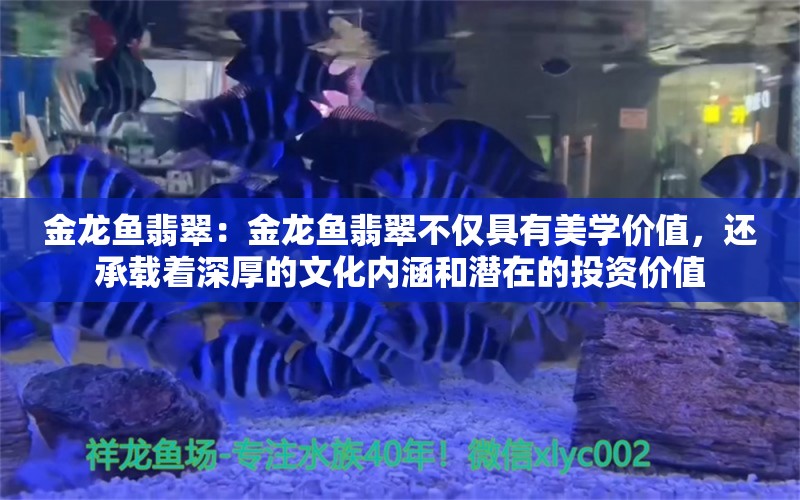 金龙鱼翡翠：金龙鱼翡翠不仅具有美学价值，还承载着深厚的文化内涵和潜在的投资价值