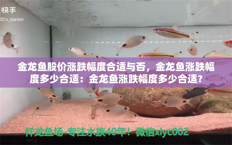 金龙鱼股价涨跌幅度合适与否，金龙鱼涨跌幅度多少合适：金龙鱼涨跌幅度多少合适？