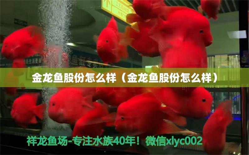 金龙鱼股份怎么样（金龙鱼股份怎么样）