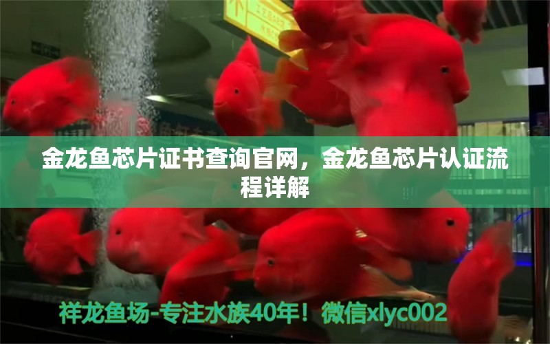 金龙鱼芯片证书查询官网，金龙鱼芯片认证流程详解