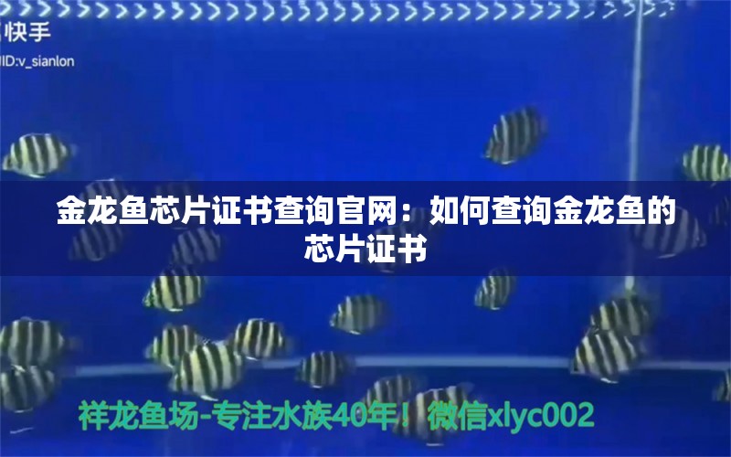 金龙鱼芯片证书查询官网：如何查询金龙鱼的芯片证书