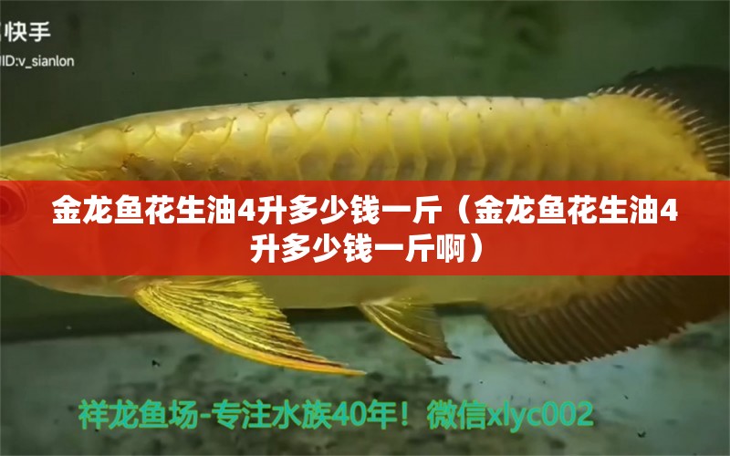 金龙鱼花生油4升多少钱一斤（金龙鱼花生油4升多少钱一斤啊） 祥龙水族医院