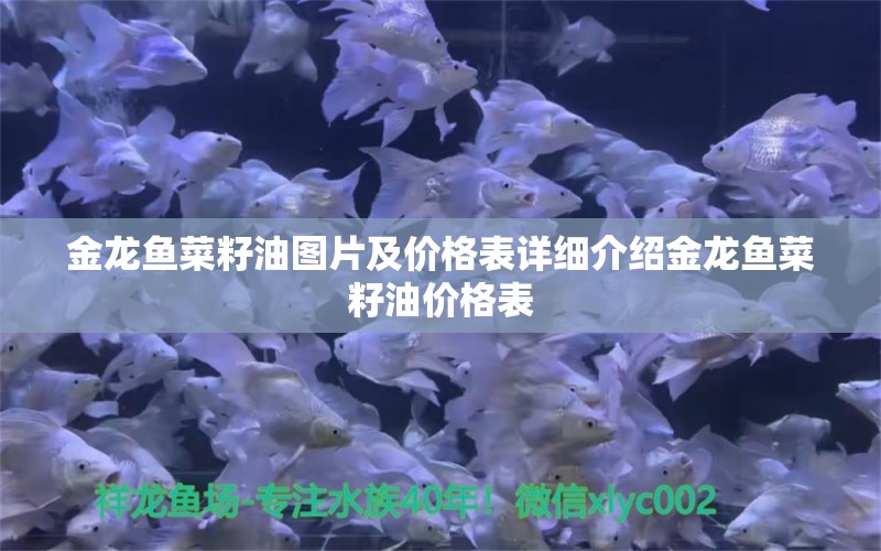 金龙鱼菜籽油图片及价格表详细介绍金龙鱼菜籽油价格表 祥龙龙鱼鱼粮