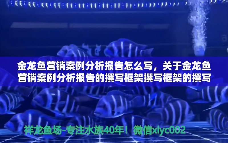 金龙鱼营销案例分析报告怎么写，关于金龙鱼营销案例分析报告的撰写框架撰写框架的撰写框架 龙鱼百科 第1张