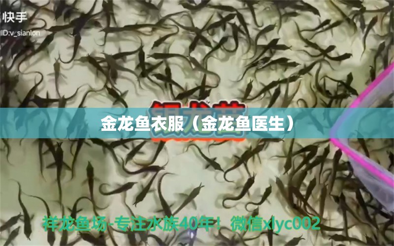 金龙鱼衣服（金龙鱼医生） 黄金猫鱼百科 第1张