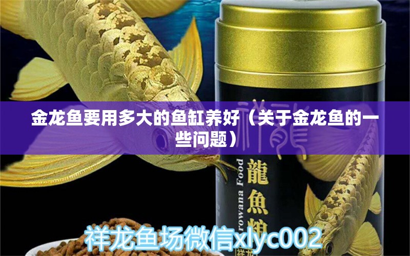 金龙鱼要用多大的鱼缸养好（关于金龙鱼的一些问题） 水族问答 第2张