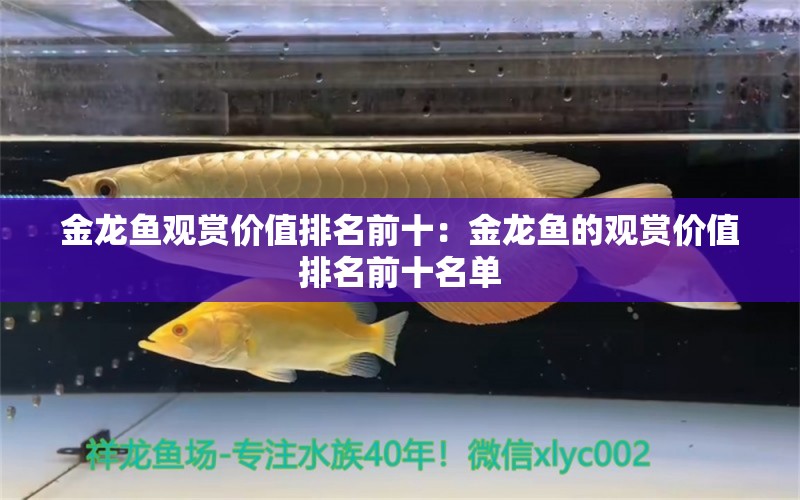 金龙鱼观赏价值排名前十：金龙鱼的观赏价值排名前十名单 龙鱼百科 第2张