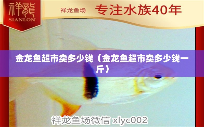 金龙鱼超市卖多少钱（金龙鱼超市卖多少钱一斤） 印尼虎苗