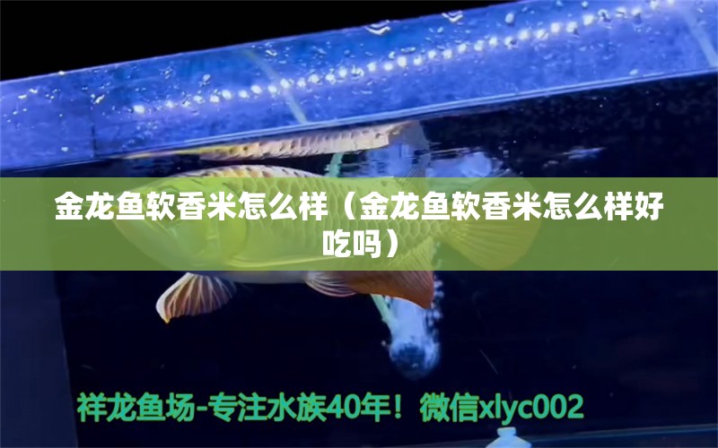 金龙鱼软香米怎么样（金龙鱼软香米怎么样好吃吗） 祥龙水族医院