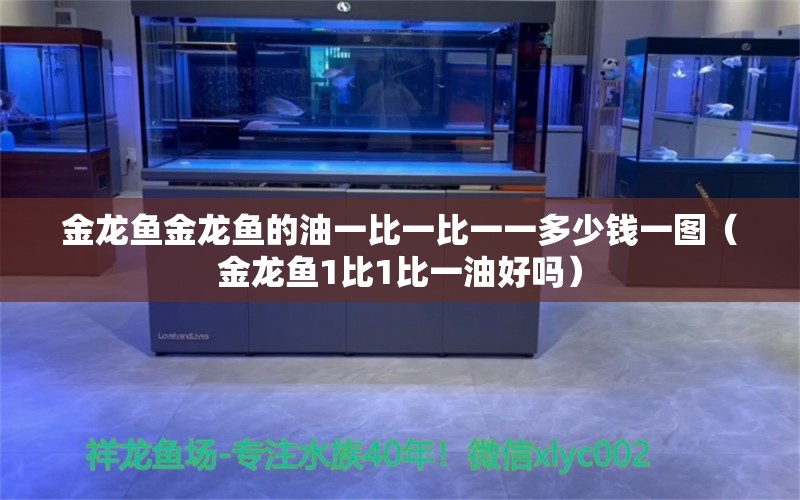 金龙鱼金龙鱼的油一比一比一一多少钱一图（金龙鱼1比1比一油好吗） 水族杂谈