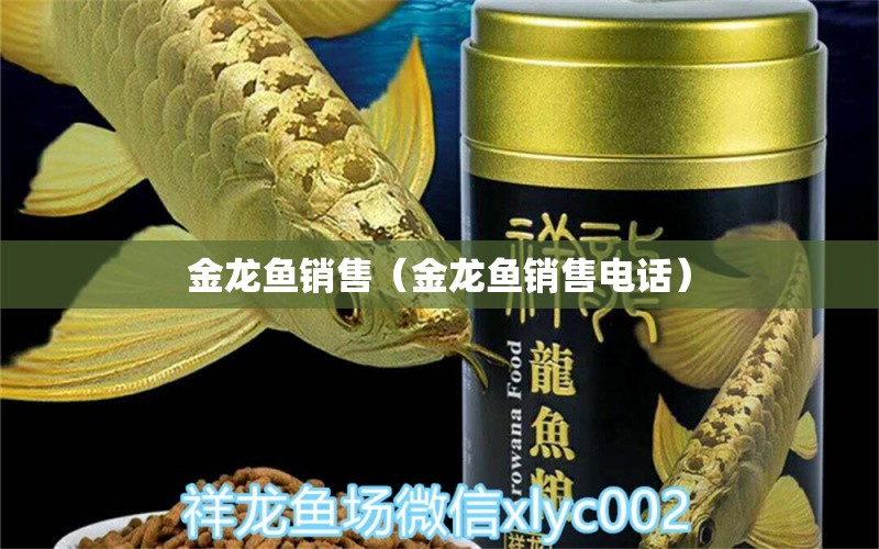 金龙鱼销售（金龙鱼销售电话）