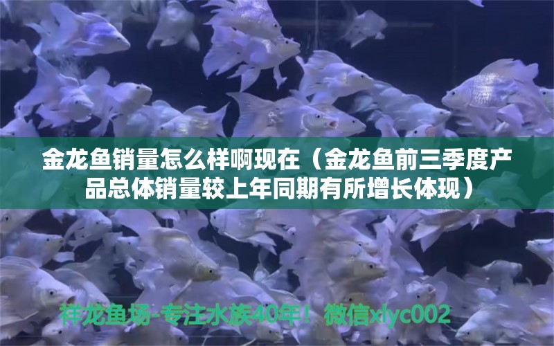 金龙鱼销量怎么样啊现在（金龙鱼前三季度产品总体销量较上年同期有所增长体现） 龙鱼百科 第2张