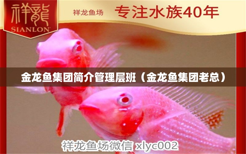 金龙鱼集团简介管理层班（金龙鱼集团老总） 祥龙水族医院