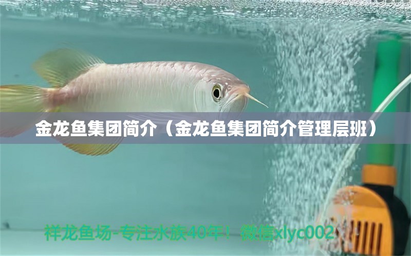 金龙鱼集团简介（金龙鱼集团简介管理层班） 水草