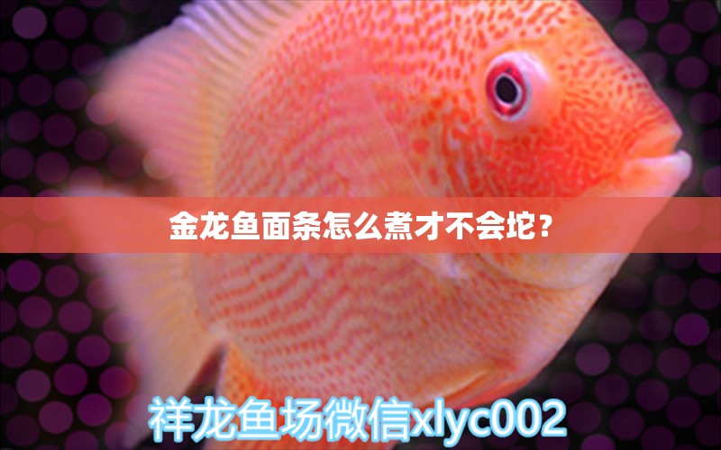 金龙鱼面条怎么煮才不会坨？