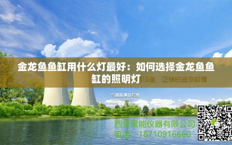 金龙鱼鱼缸用什么灯最好：如何选择金龙鱼鱼缸的照明灯 龙鱼百科 第2张