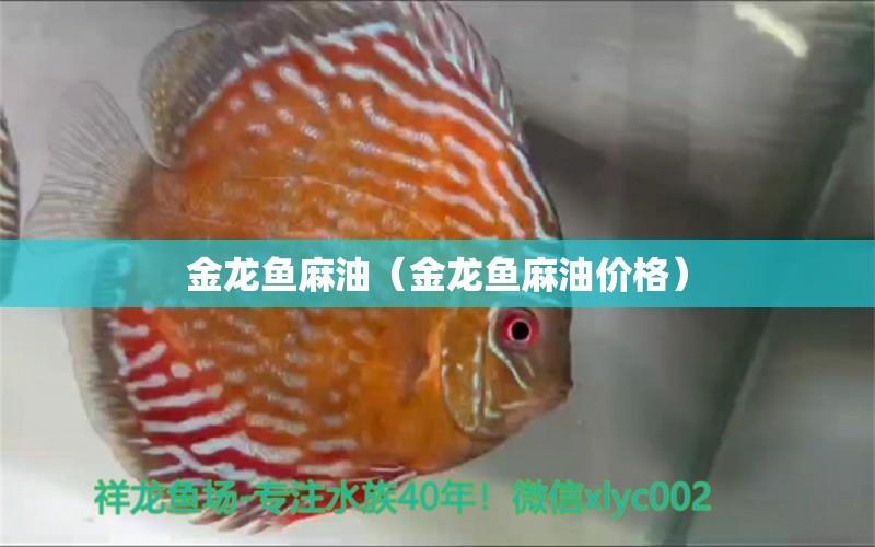 金龙鱼麻油（金龙鱼麻油价格） 祥龙水族医院