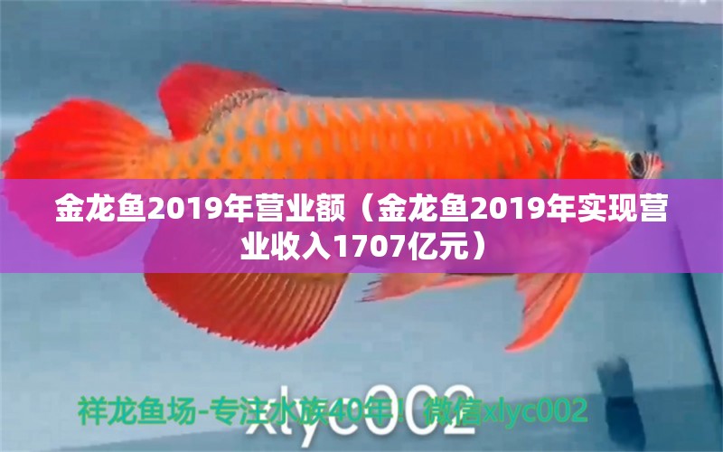 金龙鱼2019年营业额（金龙鱼2019年实现营业收入1707亿元）