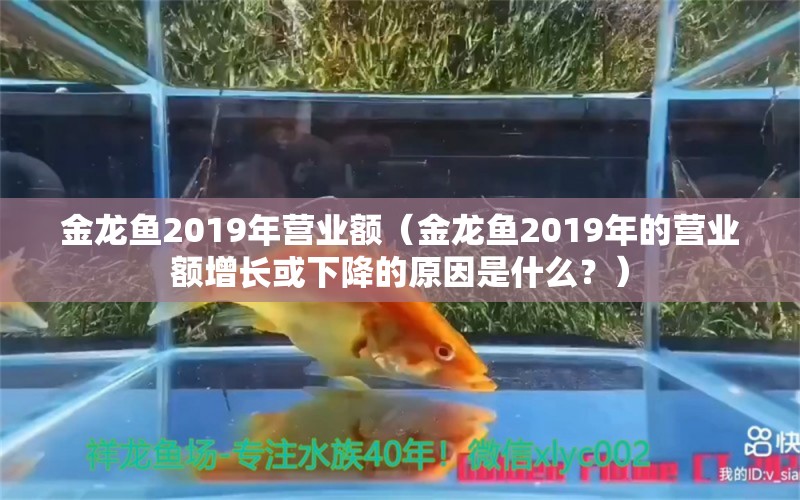 金龙鱼2019年营业额（金龙鱼2019年的营业额增长或下降的原因是什么？）