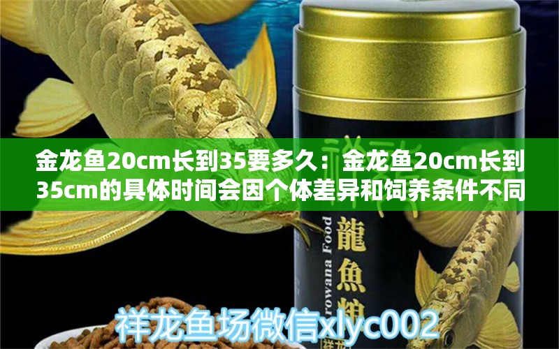 金龙鱼20cm长到35要多久：金龙鱼20cm长到35cm的具体时间会因个体差异和饲养条件不同而有差异