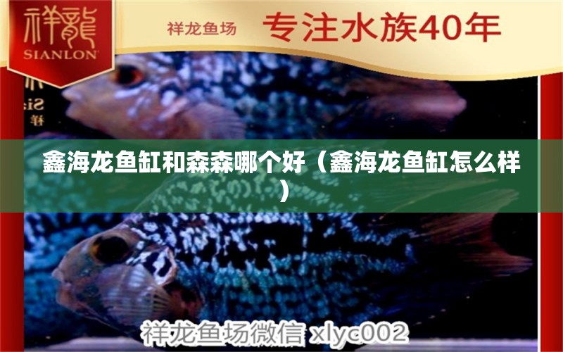 鑫海龙鱼缸和森森哪个好（鑫海龙鱼缸怎么样） 祥龙水族医院