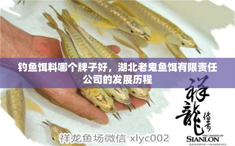 钓鱼饵料哪个牌子好，湖北老鬼鱼饵有限责任公司的发展历程 垂钓乐园 第1张